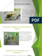 Presentacion Ecologia MODIFICACION