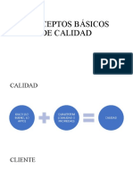 Conceptos Básicos de Calidad