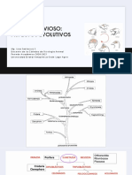 FA 7. Aspectos Evolutivos Del SNC