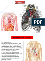 clase-corazonsistemacardiovascular-120321203827-phpapp01