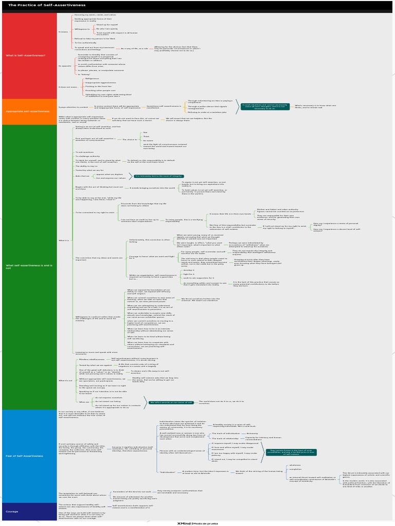 Understanding Self Assertiveness Principles Pdf Self Esteem
