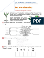 Ciencias La Planta