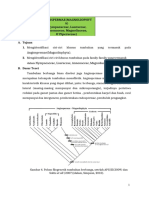 Praktikum Botani 3-Dikonversi