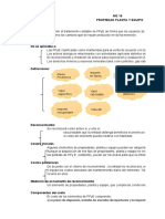 Mapa Conceptual