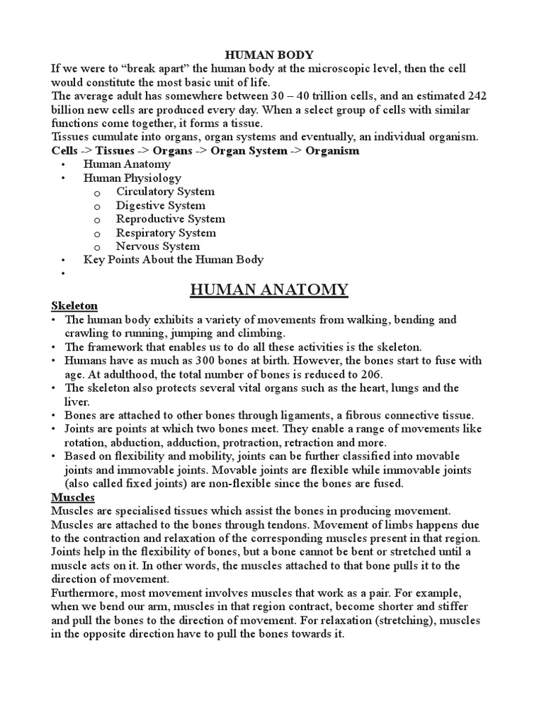 Basics of Anatomy and Physiology | PDF | Reproductive System | Human Body