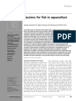 Vaccines For Fish in Aquaculture: Review