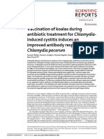 Vaccination of Koalas During Antibiotic Treatment For Chlamydia-Induced Cystitis Induces An Improved Antibody Response To Chlamydia Pecorum