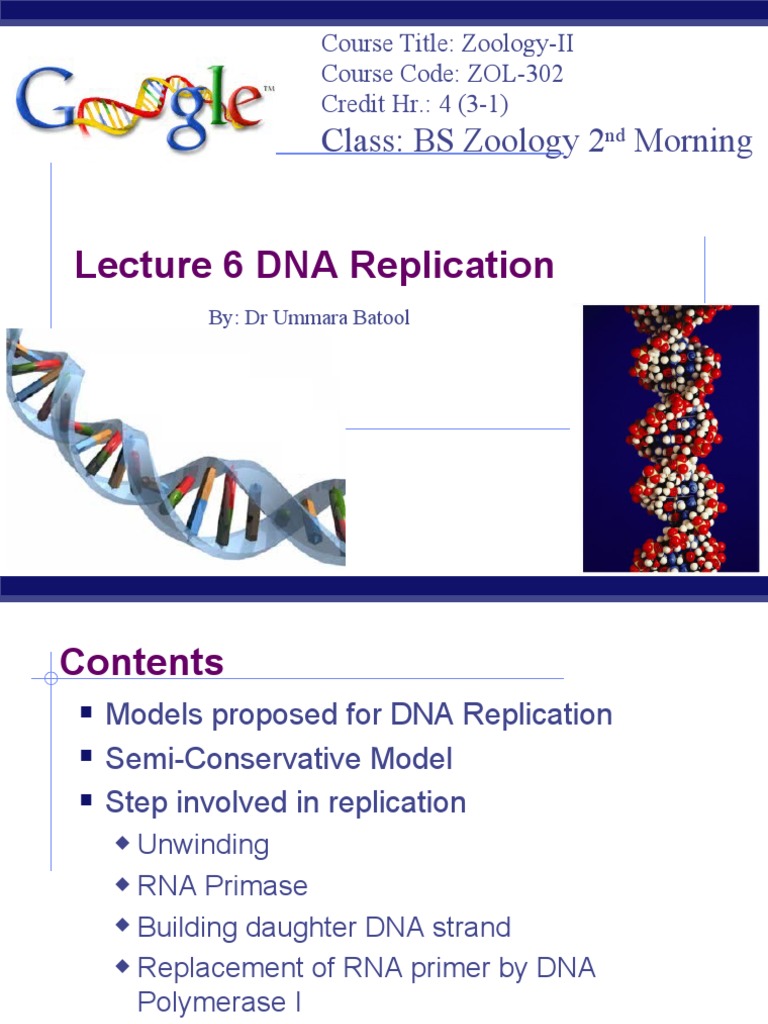 Lecture 6 DNA Replication: Class: BS Zoology 2 Morning | PDF | Dna ...
