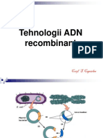 ADN Recombinant 2020