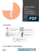 Anatomía de La Columna Vertebral