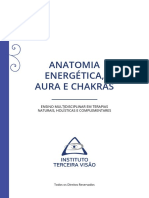 Anatomia Energética - Abordagem Completa (1)