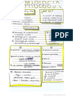 esquema de semiología de Victoria 