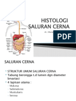 Histologi Saluran Cerna