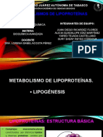 4.4 Metabolismos de Lipoproteinas 1