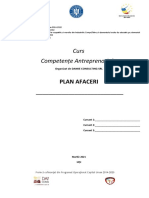 Structura Plan de Afaceri