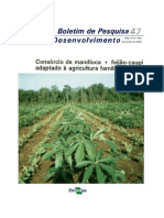 boletim-47-Consorcio-de-mandioca-e-feijao-caupi-adaptado-a-agricultura-familiar
