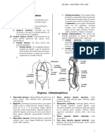Grneralidades Anatomia 5to de Sec