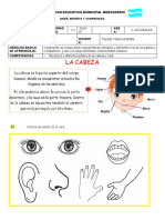 Guia 4 C. Naturales