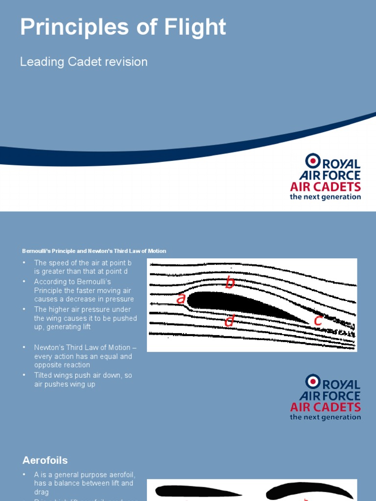 Principles of Flight Overview | PDF | Lift (Force) | Flight Control ...