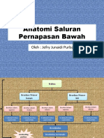 LI 1 - Anatomi Saluran Pernapasan Bawah