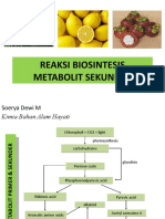2) Reaksi Biosintesis Metabolit Sekunder