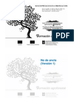 No de Ancla Version 1 PDF