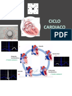 Presentación 3 Ciclo Cardiaco
