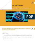 9 Síndrome de Disfunción y Patología de Los Lóbulos Cerebrales Lóbulo Occipital y Lóbulo Parietal