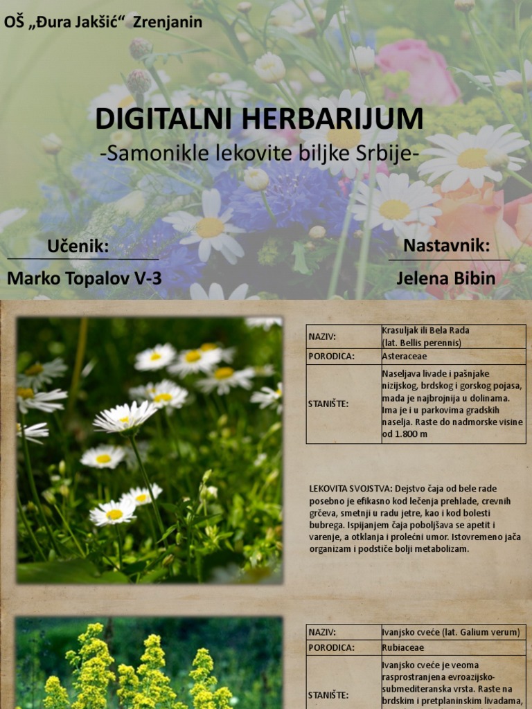2017 Digitalni Herbarijum 4 | PDF