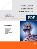 Anatomía Vascular Cabeza y Cuello - Grupo 1