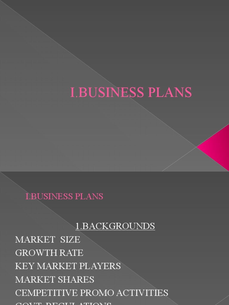 Comprehensive Business Plan Overview | PDF