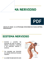 Sistema - Nervioso - Ismael Cáceres. Lic en Psicología.