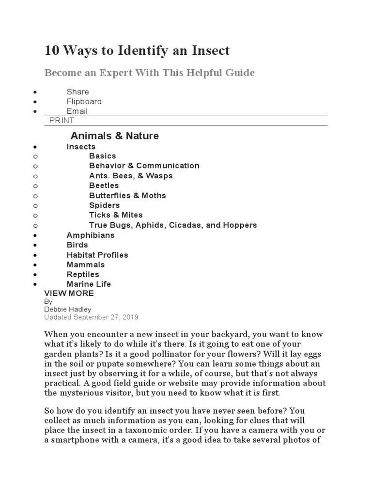 Insect Identification Guide | PDF | Insects | Lepidoptera