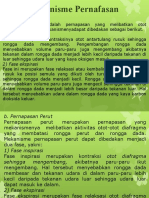 Mekanisme Pernapasan Dada dan Perut