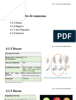 Variedades de Manzana 4.1.5