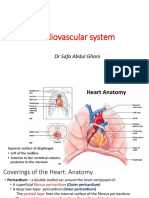 Cardiovascular System