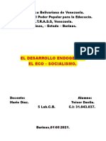 El Socialiso Endogeno