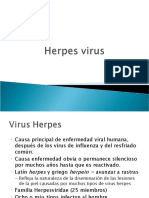 Clase Herpes virus