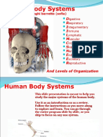 Human Body Systems Final Project 03-04 Draft 5