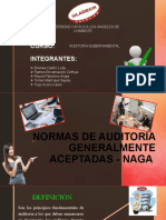 Normas de Auditoría Generalmente Aceptadas - Naga