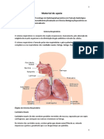 Sistema Respiratório1