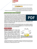 Metabolismo 2 Bioquimica