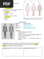 Diaz Apaza Anthony Jesus-Diascopia - Vitropresion | PDF ...