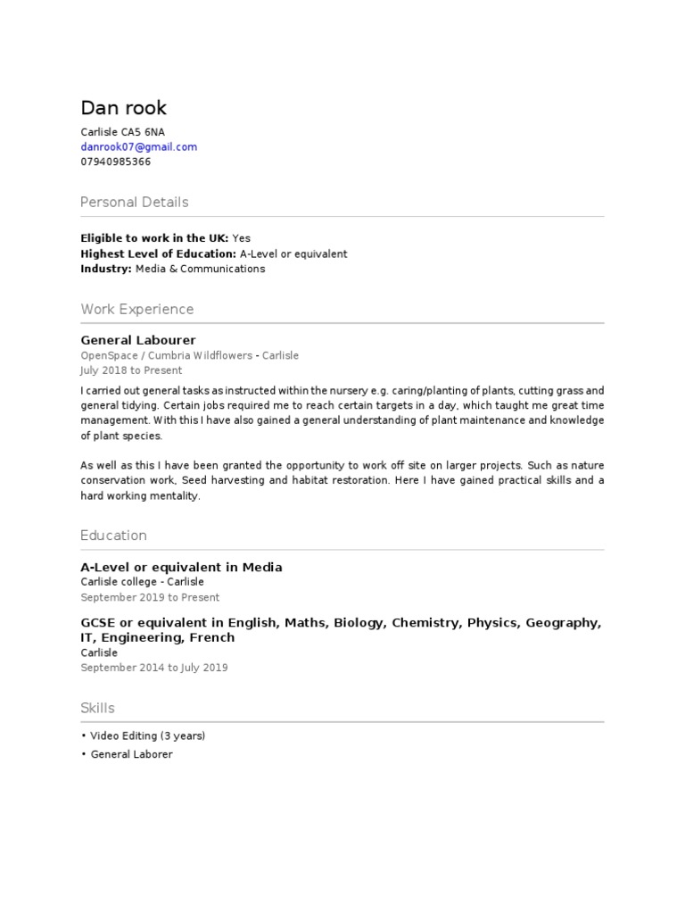 Dan-Rook CV | PDF | Business | Science & Mathematics