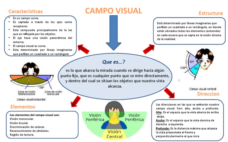 Mapa Mixto Campo Visual | PDF | Percepción visual | Filosofía natural