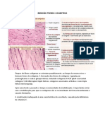 REVISÃO TECIDO CONECTIVO Aula 1