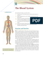 The Blood System: Structure and Function