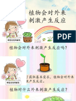 植物 四年级科学1