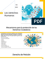 Mecanismos de proteccion de derechos humanos  -Defensor del pueblo