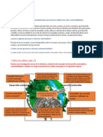 Sesión 4. Actividad Concepto de Sustentabilidad y Principios de Sustentabilidad